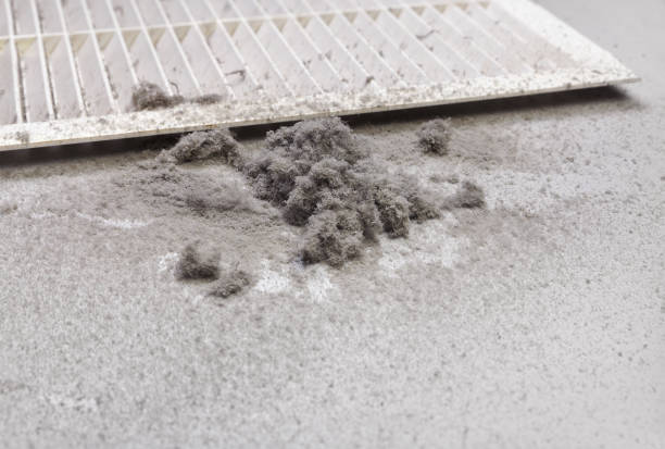 Best Commercial Air Duct Cleaning  in Highland, KS