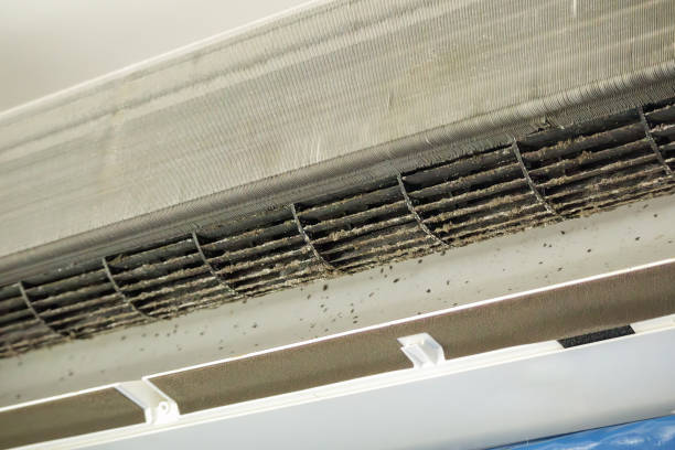 Best Affordable Duct Cleaning Services  in Highland, KS